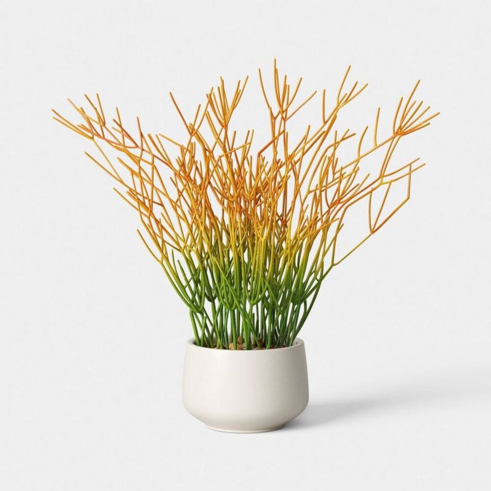 16" Artificial Pencil Cactus Dish Garden - Threshold
